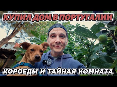 Видео: Короеды и Тайная комната / Купил дом в Португалии / 5 выпуск