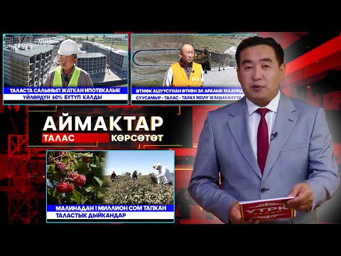 Видео: Талас көрсөтөт // АЙМАКТАР // 08.09.2025