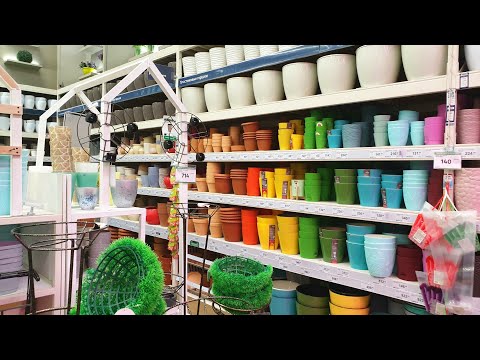 Видео: 🌿ЛЕРУА МЕРЛЕН🌱Цветочные Горшки и Кашпо⚘☘