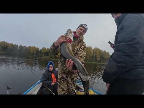 Видео: Fishing Travels - Рыболовные путешествия. Рыбалка с гидом на Валдае