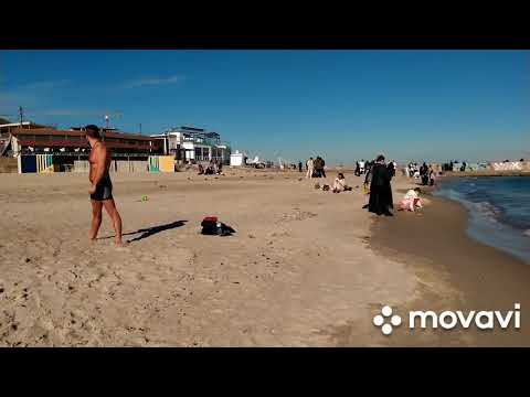 Видео: Бабье лето на пляже Ланжерон! ☀ 29.10.2025.Вода почти+15!🌊