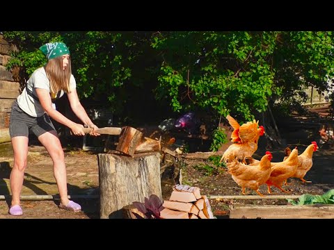 Видео: ОДИН ДЕНЬ ИЗ ЖИЗНИ В ДЕРЕВНЕ! Утро начинается не с кофе..