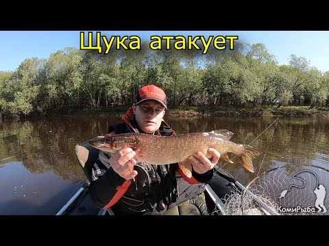 Видео: Троллинг рыбы 2020. Щука атакует Salmo