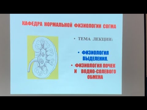 Видео: Часть 1. • ФИЗИОЛОГИЯ ВЫДЕЛЕНИЯ.•ФИЗИОЛОГИЯ ПОЧЕК И ВОДНО-СОЛЕВОГО ОБМЕНА