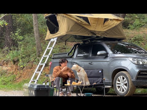 Видео: [Одиночный поход с собакой] Счастливого похода в прохладную осеннюю погоду в горах