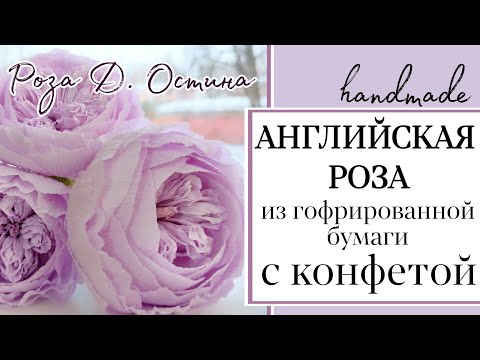 Видео: Английская роза/ Роза Дэвида Остина из гофрированной бумаги с конфетой/Букет из конфет