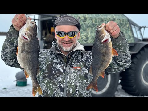 Видео: Гигантские Окуни глухих Сибирских озёр.