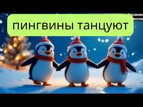 Видео: пингвины танцуют 🎉🐆Весёлые детские стишки и песенки для малышей #КолёсаНаАвтобусе