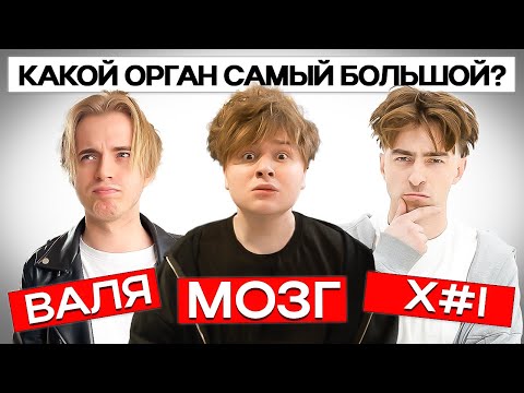 Видео: КТО ИЗ НАС САМЫЙ ТУПОЙ? *постанова*