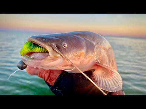 Видео: Ловля ХИЩНОЙ РЫБЫ на водохранилище!