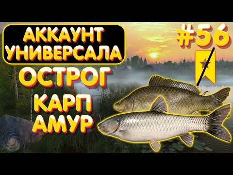 Видео: Аккаунт универсала #56 | Амур и Карп | оз. Старый Острог | Русская Рыбалка 4