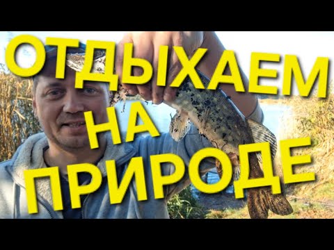 Видео: Маршрут Природы — Пикник у воды: ловим щуку на живца и спиннинг, жарим колбаски у костра
