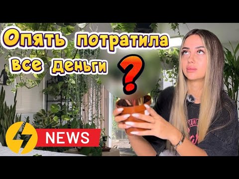 Видео: Цветочный бум:Выставка Экзотических Растений в Красноярске