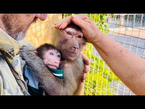 Видео: УДИВИТЕЛЬНОЕ отношение Люси к маленькой Анфисе, она просто МАМА-МАМА!