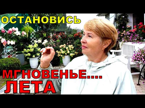 Видео: 1 сентября. Плакать не буду, а вздохну. Цветочное царство и урожай не подкачали. Что помогло?