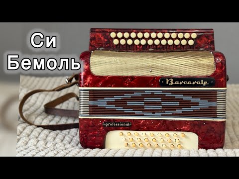 Видео: Немецкая гармонь Си Бемоль мажор