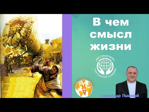 Видео: Александр Пышный - В чем смысл жизни