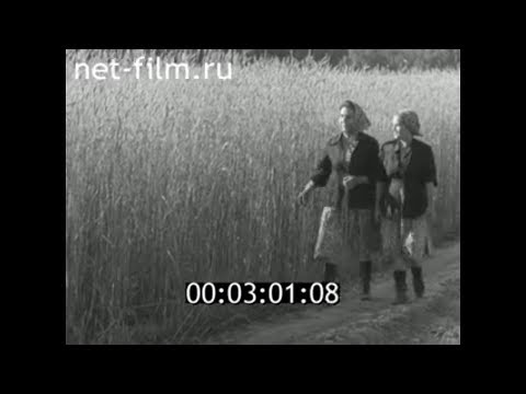 Видео: 1965г. село Подолино. колхоз Верный путь. Палехский район Ивановская область