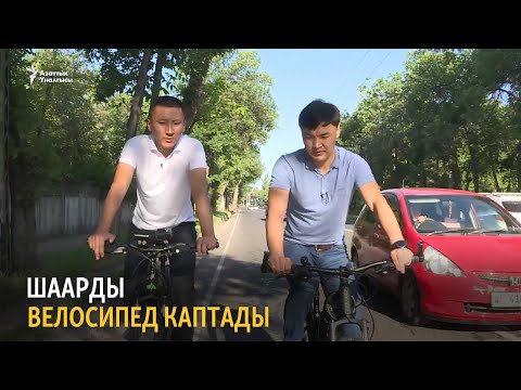 Видео: Шаарды велосипед каптады