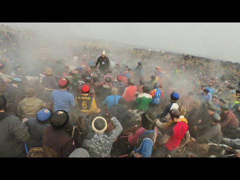 Видео: ЧУБАК АЖЫ ЖАЛИЛОВ АЛАМАН УЛАК