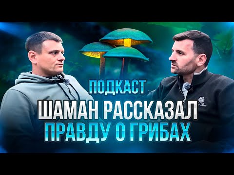 Видео: ШАМАН РАССКАЗАЛ ПРАВДУ О ГРИБАХ -  Что дают волшебные грибы? Встреча с демонами. Топ ошибок в трипе.