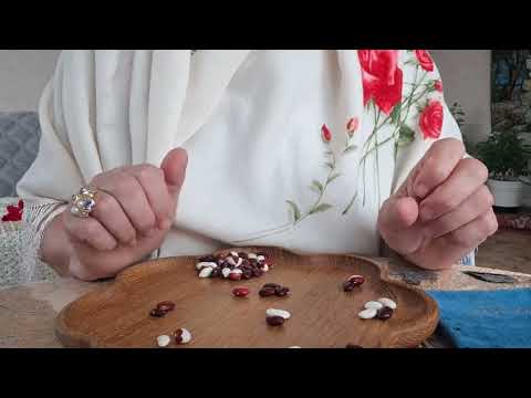 Видео: [ГАДАНИЕ НА БОБАХ] Ваши ближайшие дни