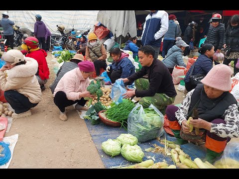 Видео: Сбор лука и цветной капусты для продажи на районном рынке во время традиционного Нового года