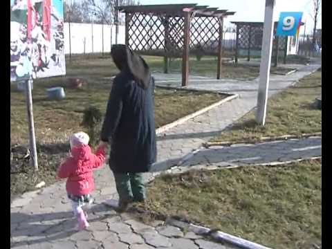 Видео: 20.02.13 Такая жизнь. Родившиеся в неволе