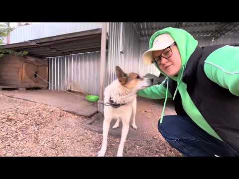 Видео: 14. life - В Ирбит переобуться