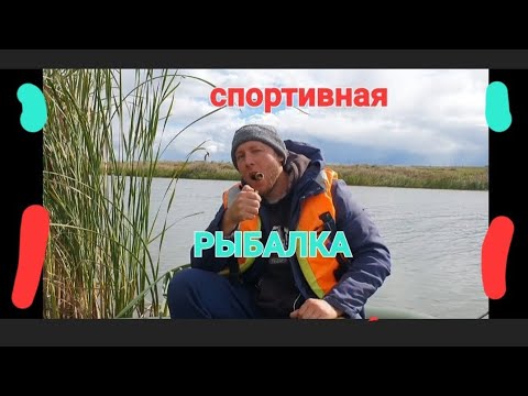 Видео: отпускаем трофейных щук|и окуней