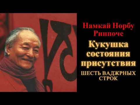 Видео: Намкай Норбу Ринпоче. Кукушка состояния присутствия. Шесть Ваджрных Строк