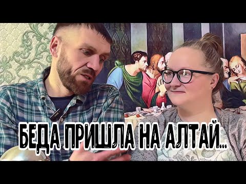 Видео: 😭Золотодобытчики напали на Алтай!!!!