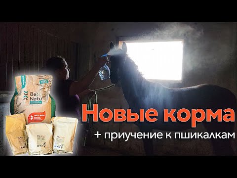 Видео: Забрали новые корма | Приучаю к пшикалкам