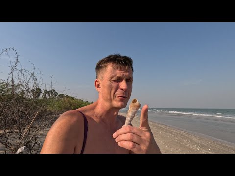 Видео: Тайланд. добыча морской соли, дикий пляж с ракушками