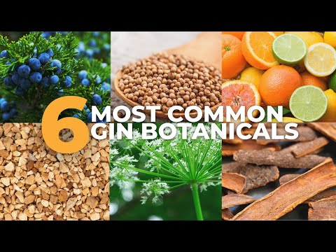 Видео: 6 самых распространенных растительных компонентов джина