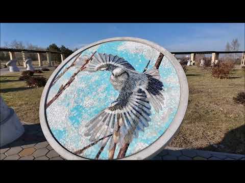 Видео: Погода не дает мне сидеть дома // Природный парк Птичья гавань г. Омск