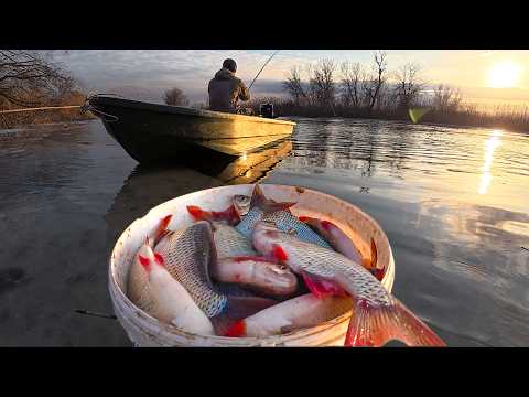 Видео: ЯМА ЗАБИТА КРУПНОЙ КРАСНОПЁРКОЙ! ПЕРВАЯ ВЕСЕННЯЯ РЫБАЛКА НА ПОПЛАВОК. Сумасшедший клёв в Астрахани.
