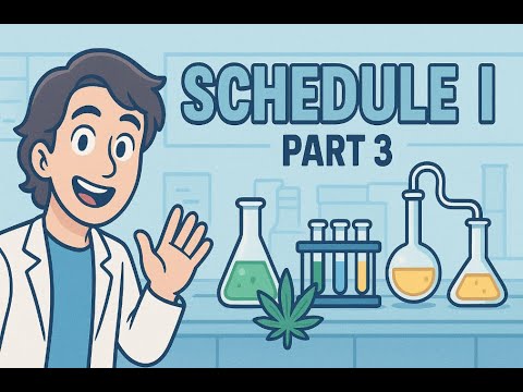 Видео: От бомжа в люди: Schedule I #3