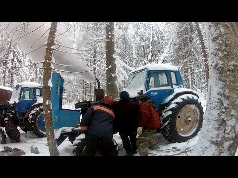 Видео: ЗАГОТОВКА ЛЕСА ЗИМОЙ