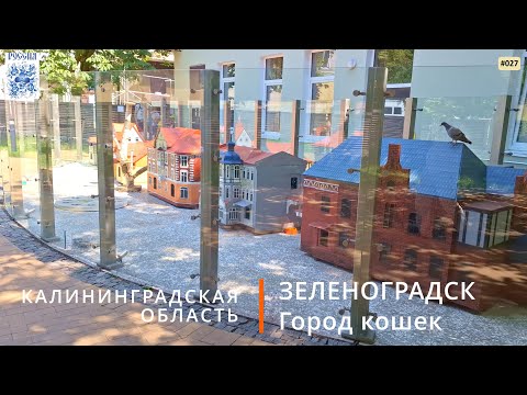Видео: Зеленоградск (Калининградская область). Мурариум, набережная и не только