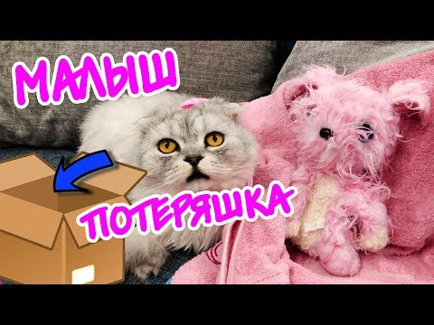 Видео: ЩЕНКИ ЕЛЕ ВЫЖИЛИ НА ПОМОЙКЕ!!! ПОМОГИТЕ! МАЛЫШ ПОТЕРЯШКА ДЛЯ СЛАДУНА