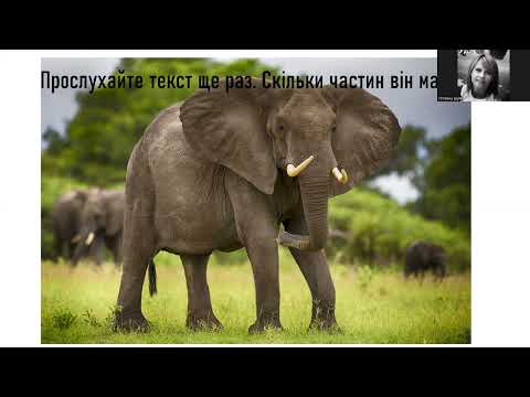 Видео: Письмовий переказ. Подяка слона. 4 клас.