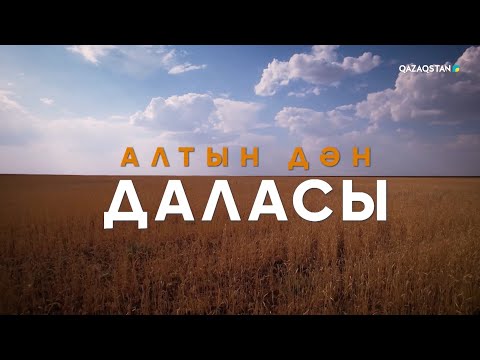 Видео: «АЛТЫН ДӘН ДАЛАСЫ». Арнайы жоба