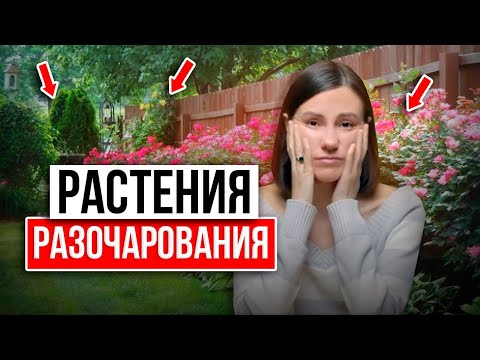 Видео: ВЫ ПОЖАЛЕЕТЕ, если выберете ЭТИ РАСТЕНИЯ 💔 7 Кустарников и Цветов, которые я больше НЕ ПОСАЖУ... 😢
