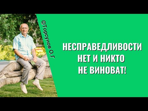 Видео: Несправедливости нет и никто не виноват! Торсунов лекции