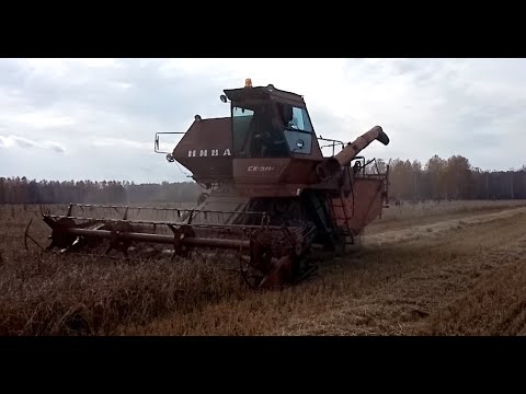 Видео: Сложная уборка урожая 2021.