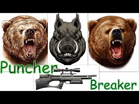 Видео: Часть1. Медвесвин против Kral PUNCHERA калибр 5.5