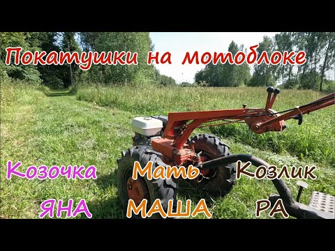 Видео: Покатушки на мотоблоке по дороге Гугл. Козлик Ра и козочка Яна.