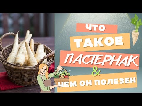 Видео: Что такое пастернак? Чем он полезен и как его употреблять? #урожай #овощи #сад