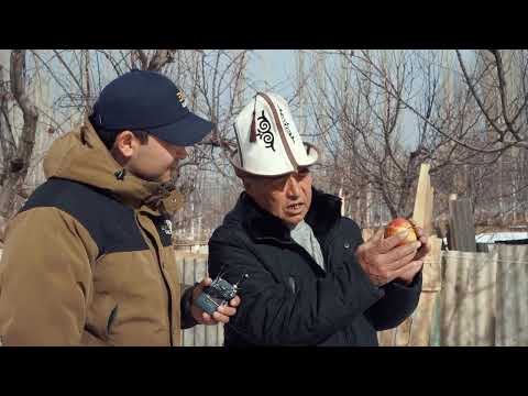 Видео: СЫРТ АЙЫЛЫ/МЕНИН АЙЫЛЫМ.